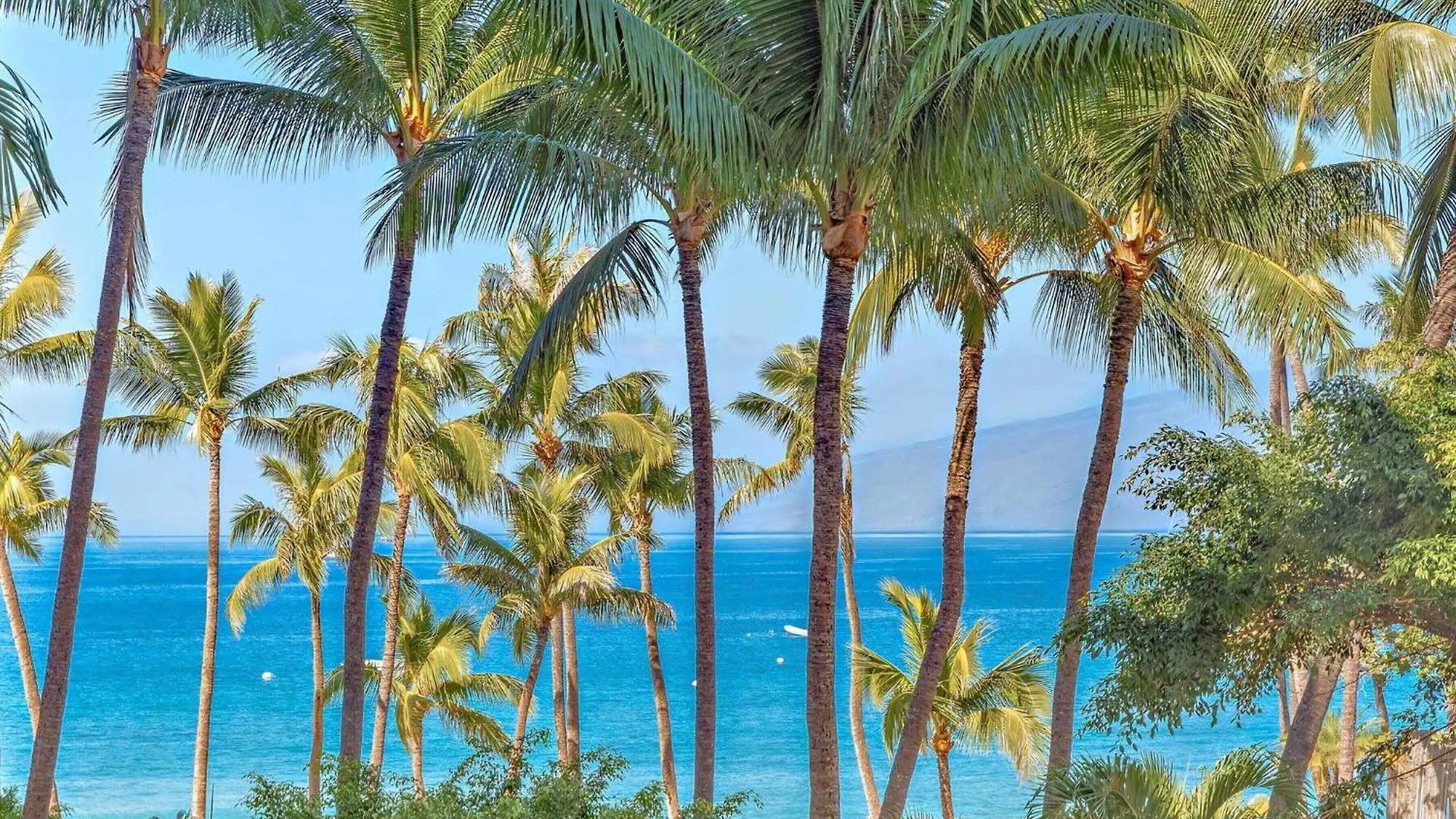 The Kaanapali Alii By Maui Resort Rentals Lahaina 0*,